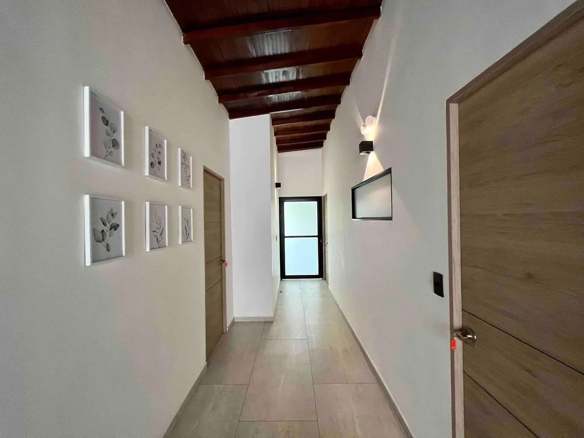 Daire Nowa Bora Bora Apt - Huge Jacuzzi, Rooftop & Ac In Provenza Medellín